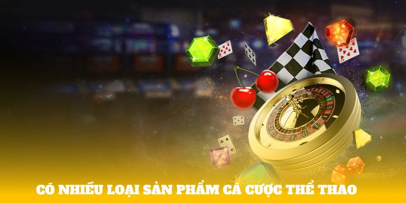 Có nhiều loại sản phẩm cá cược thể thao